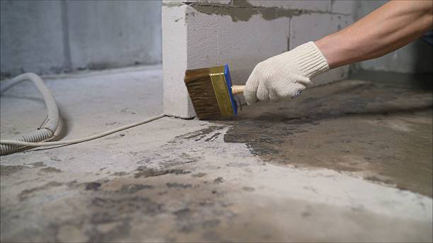 SJ Waterproofing Pros Basement Waterproofing coverage map for Wyoming, IL and surrounding area